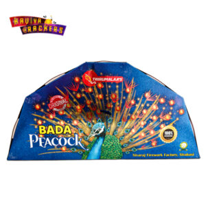 peacock feather ( 5 pcs )