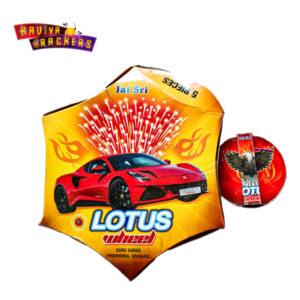 chakkar deluxe (copy)